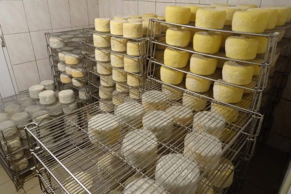 artisou fromage du velay haute loire 4