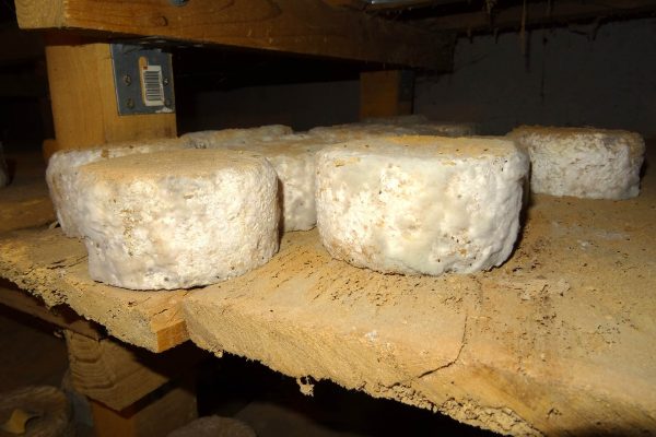 artisou fromage du velay haute loire 5