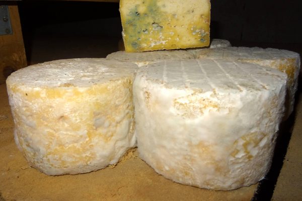 artisou fromage du velay haute loire 6