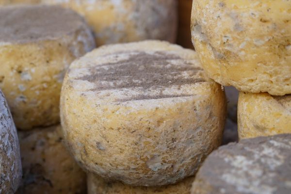 artisou fromage du velay haute loire